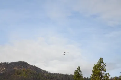 DSC_0283 (Large).JPG